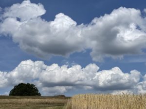 Wolken