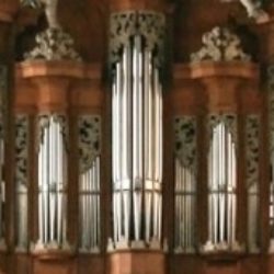 Stunde der Orgel